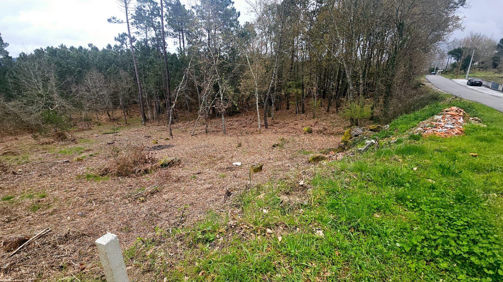 Terreno Construível em Viseu com Vista Panorâmica e Acesso Fácil - Image 3